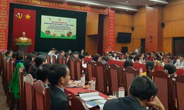 T&#236;nh trạng lạm dụng thuốc BVTV v&#224; chất cấm trong sản xuất đ&#227; giảm mạnh