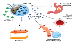 Ph&#242;ng ngừa qu&#225; liều thuốc kh&#225;ng histamine thế n&#224;o?