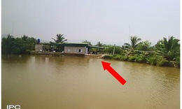 Cảnh báo tình trạng đuối nước ở trẻ gia tăng vào mùa hè