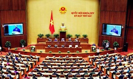 C&#225;c th&#224;nh vi&#234;n Ch&#237;nh phủ trả lời chất vấn tại Kỳ họp thứ 6, Quốc hội kh&#243;a XIV: L&#224;m r&#245; những vấn đề n&#243;ng cử tri quan t&#226;m