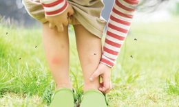 Những điều c&#243; thể bạn chưa biết về sốt xuất huyết Dengue