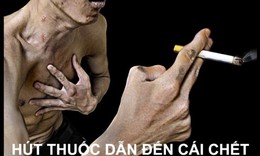 H&#250;t thuốc, v&#244; tư h&#237;t 7.000 chất ho&#225; học, 69 chất g&#226;y ung thư v&#224;o người