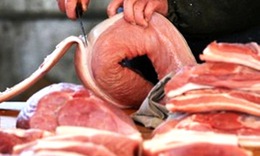 C&#225;ch ph&#242;ng ngừa bệnh s&#225;n lợn ở người