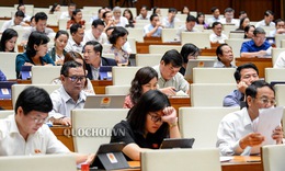 2000 trẻ bị bạo lực, x&#226;m hại mỗi năm: Quốc hội sẽ gi&#225;m s&#225;t tối cao về ph&#242;ng, chống x&#226;m hại trẻ em