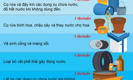 Loại bỏ nơi sinh sản của muỗi bằng 5 c&#225;ch đơn giản để ph&#242;ng bệnh sốt xuất huyết