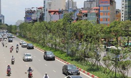Bộ TN-MT: Chất lượng không khí đã tốt lên do mưa lớn rửa trôi các hạt bụi