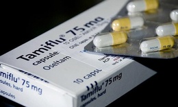 50.000 vi&#234;n thuốc Tamiflu trị c&#250;m sẽ về Việt Nam trong v&#224;i ng&#224;y tới