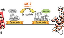 Vai tr&#242; của MK7 đối với sự ph&#225;t triển chiều cao của trẻ