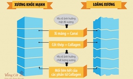 Vai tr&#242; của MK7 đối với sức khỏe v&#224; tuổi thọ