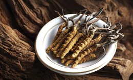 Hàu Biển và Đông Trùng Hạ Thảo giúp phục hồi “sinh lực phái mạnh”