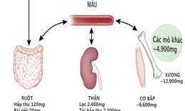 Magi&#234; clorit gi&#250;p b&#224;i tiết chất độc v&#224; l&#224;m sạch m&#244; cho người bệnh