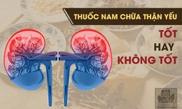 Chữa thận yếu, thận hư hiệu quả bằng thuốc nam tại Đỗ Minh Đường