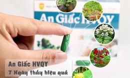 Những ti&#234;u ch&#237; cần biết để cải thi&#234;̣n m&#226;́t ngủ, khó ngủ bằng đ&#244;ng y