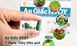 Trằn trọc khó ngủ, m&#226;́t ngủ - những bi&#234;̣n pháp hi&#234;̣u quả cải thi&#234;̣n l&#224; g&#236;?