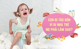 Vai tr&#242; của Probiotics trong việc hỗ trợ xử l&#253; t&#225;o b&#243;n ở trẻ