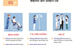 Nan giải b&#224;i to&#225;n lựa chọn giải ph&#225;p bệnh &#225;n điện tử
