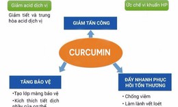 Tại sao người bệnh dạ d&#224;y n&#234;n sử dụng curcumin để tăng cường miễn dịch