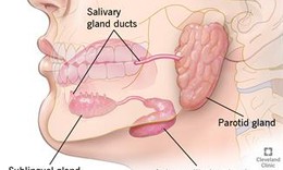 Vi&#234;m tuyến nước bọt do răng: Nguy&#234;n nh&#226;n v&#224; giải ph&#225;p điều trị