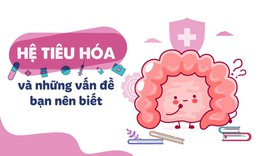 Hệ ti&#234;u h&#243;a v&#224; những vấn đề cần biết