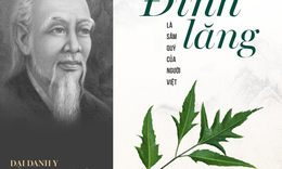 Tại sao Đại danh y Hải thượng L&#227;n &#212;ng v&#237; đinh lăng l&#224; S&#226;m của người Việt?