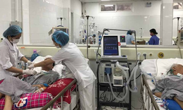 An t&#226;m vui khỏe đ&#243;n tết nhờ giải ph&#225;p từ Nhật ph&#242;ng ngừa đột quỵ