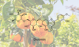 Hoạt chất μsmin® Plus – Tối ưu hiệu quả hỗ trợ khắc phục cho người bị trĩ