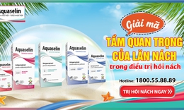 Tầm quan trọng của lăn n&#225;ch