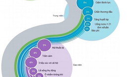 C&#225;c yếu tố ảnh hưởng đến tr&#237; nhớ