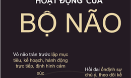 Sự thay đổi cấu tr&#250;c n&#227;o khi thực h&#224;nh thiền định