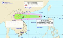 Bộ Y tế y&#234;u cầu y tế c&#225;c tỉnh ảnh hưởng b&#227;o Sơn Tinh trực cấp cứu 24/24h