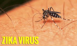 Ca bệnh Zika đầu ti&#234;n năm 2020 v&#224;  3 trường hợp tử vong v&#236; sốt xuất huyết: Bộ Y tế y&#234;u cầu tăng cường ph&#242;ng chống c&#225;c dịch bệnh n&#224;y