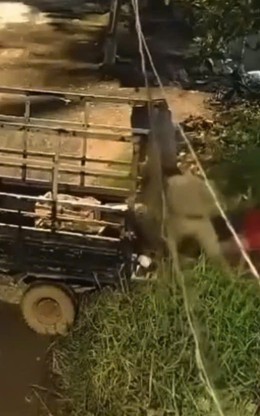 Người đàn ông đổ cả xe ba gác rác xuống kênh ở TP.HCM gây bức xúc
