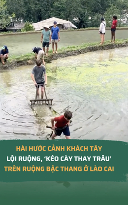 Hài hước cảnh khách Tây lội ruộng, ‘kéo cày thay trâu’ trên ruộng bậc thang ở Lào Cai, dân mạng thích thú: ‘Du lịch thế này mới đáng nhớ chứ!’