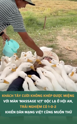 Khách Tây cười không khép được miệng với màn ‘massage vịt’ độc lạ ở Hội An, trải nghiệm có 1-0-2 khiến dân mạng Việt cũng muốn thử