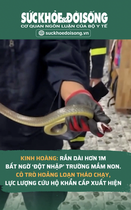 Rắn dài hơn 1m bò thẳng vào lớp học mầm non, cô trò hoảng loạn tháo chạy