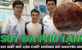 Suy đa phủ tạng do giết mổ lợn chết kh&#244;ng r&#245; nguy&#234;n nh&#226;n