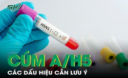 Lưu &#253; c&#225;c dấu hiệu c&#250;m A/H5 ở người