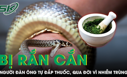 Đắp l&#225; thuốc chữa rắn cắn, người đ&#224;n &#244;ng trẻ qua đời thương t&#226;m