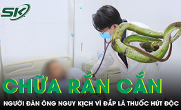 Sai lầm phổ biến sau khi bị rắn độc cắn khiến người đàn ông nguy kịch