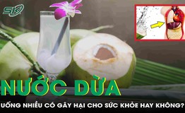 Uống nhiều nước dừa giải kh&#225;t m&#249;a nắng n&#243;ng c&#243; g&#226;y hại cho sức khỏe hay kh&#244;ng?