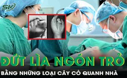 Đứt l&#236;a ng&#243;n trỏ khi l&#224;m việc, nam c&#244;ng nh&#226;n may mắn được nối lại