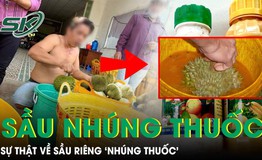 Sầu ri&#234;ng ‘nh&#250;ng thuốc’ c&#243; g&#226;y ung thư như lời đồn?