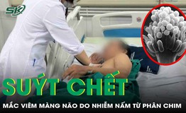 Người đ&#224;n &#244;ng su&#253;t mất mạng v&#236; vi&#234;m m&#224;ng n&#227;o do nhiễm nấm từ ph&#226;n chim
