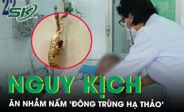 Nguy kịch v&#236; ăn nấm lạ mọc từ nhộng ve sầu, nhầm tưởng l&#224; ‘đ&#244;ng tr&#249;ng hạ thảo’