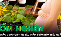 Thảo dược Đ&#244;ng Y gi&#250;p giảm buồn n&#244;n hiệu quả cho mẹ bầu ốm ngh&#233;n nặng