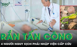 4 người nhập viện nguy kịch sau khi bị rắn lục đu&#244;i đỏ tấn c&#244;ng