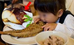 Bé 2 tuổi phát hiện thủy ngân tăng cao, vì ăn một loại cá suốt 8 tháng