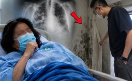 3 người cùng đổ bệnh khi ở nhà mới, 'thủ phạm' đáng sợ sau lớp dán tường