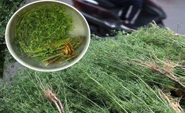 Vì sao nên tắm nước lá mùi già vào ngày cuối năm?