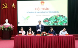 Tiềm năng và định hướng phát triển dược liệu nâng tầm cây thuốc Việt